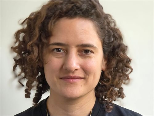 גל ויינשטיין