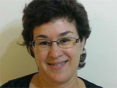 חלי ברק שטיין