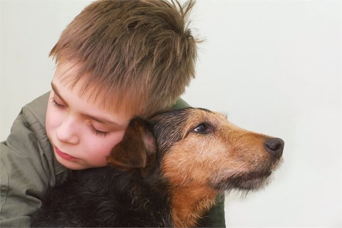 הרבה מעבר לחבר: כיצד יכולים כלבים לסייע לילדים על הרצף האוטיסטי?