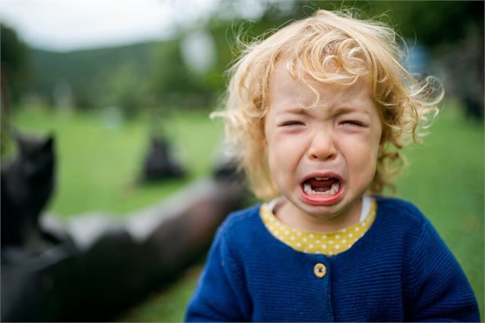 טיפים וכלים להתמודדות עם 'טנטרום' והתקפי זעם אצל ילדים