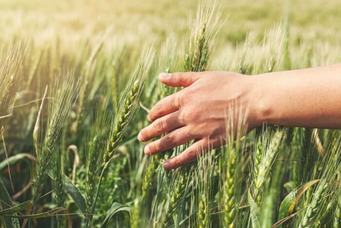 ויסות חושי לקוי