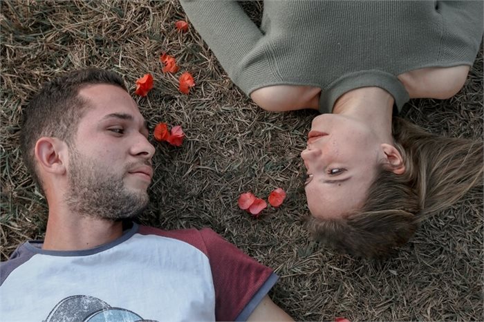סרוגייט: 