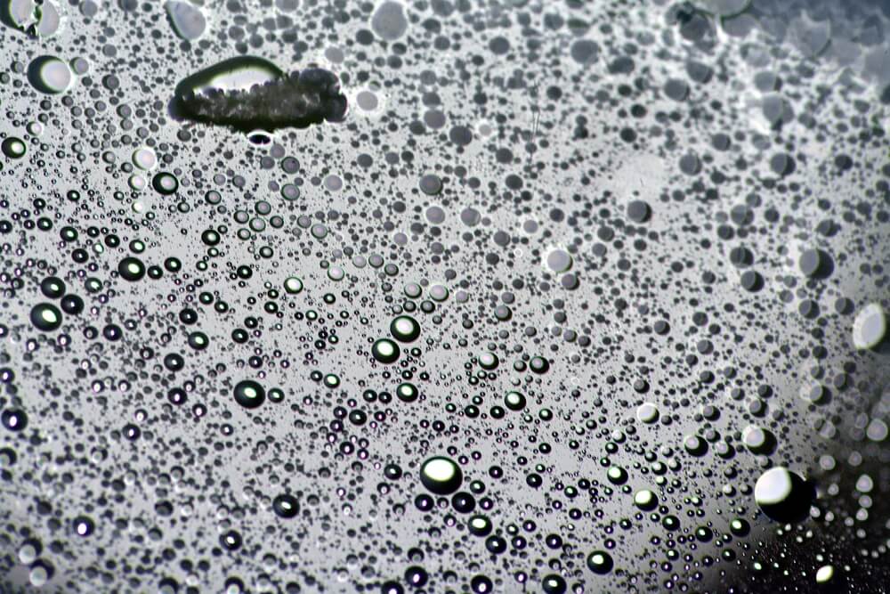 אבל ומלנכוליה: פרק לקריאה מהספר פרויד כפשוטו