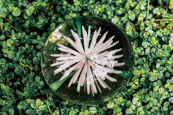 כוחה של המכשפה ויופייה של ארץ הקשת בענן – על 