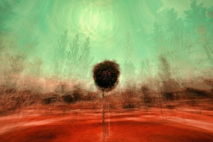 ה-MATRIX – מקידוד שעות לעיצובה של פרשנות