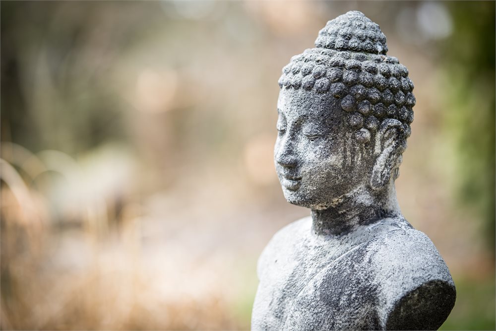 מחשבות קליניות ברוח הפסיכולוגיה הבודהיסטית