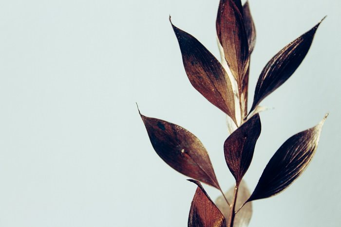 מניעת אובדנות בישראל: אתגרים, חסמים וטעויות חשיבה